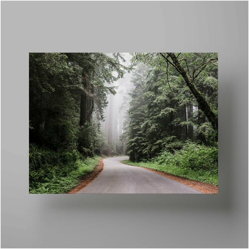  1200    , Road in the forest 5070  ,      