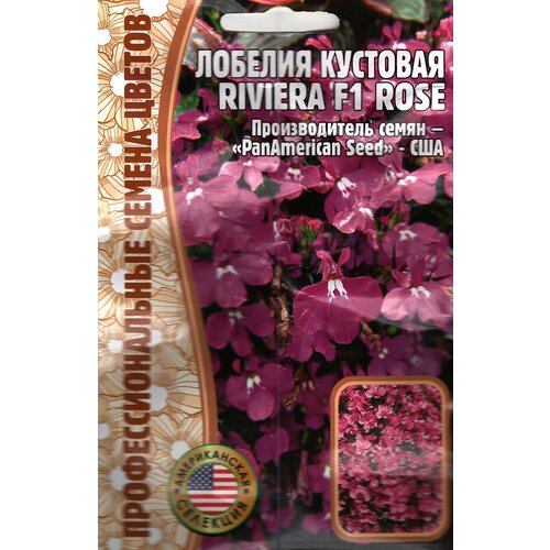  185   Riviera F1 Rose,   ( 1 : 5  )