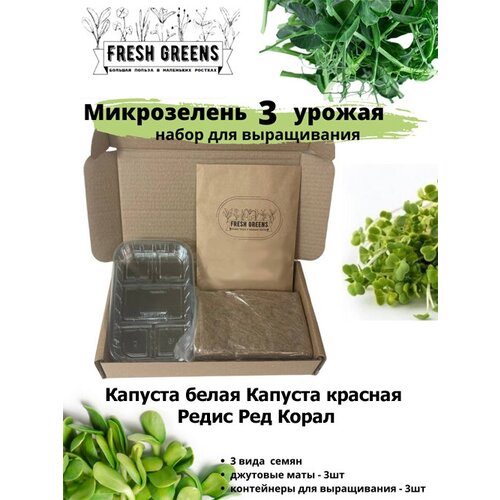  378     Fresh Greens (      )
