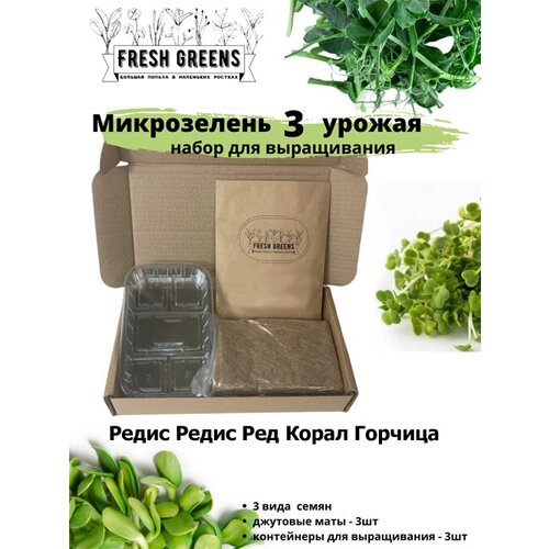  375     Fresh Greens (    )