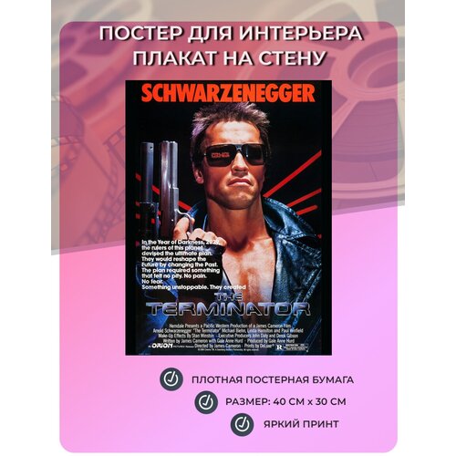  349   ,     (40   30 )   Terminator Arnold Schwarzenegger 1