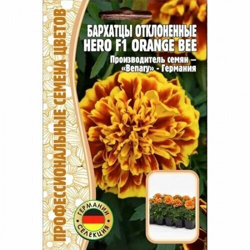  223  Hero Orange Bee  F1 10  (  )