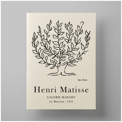  560     , Matisse, 3040 ,     