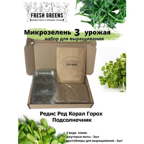  375     Fresh Greens (    )