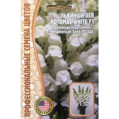  208    () (Antirrhinum majus Potomac) Potomac White F1 (5 )