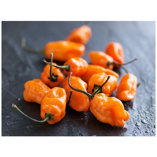  460      (. Habanero Pepper Orange)  5