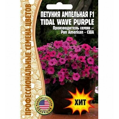  444   F1 Tidal Wave Purple 5    