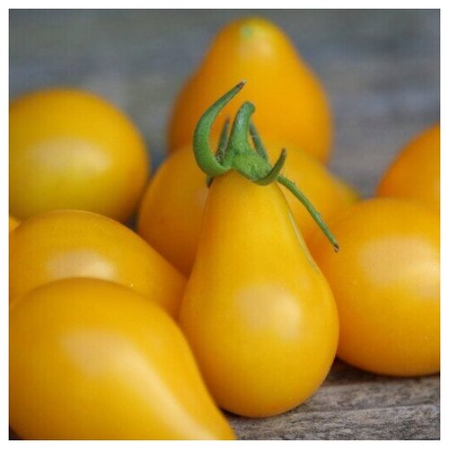  310    (. Tomato Yellow Pear)  10
