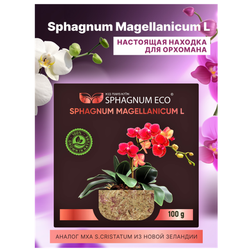  1990  sphagnum magellanicum L      8 .