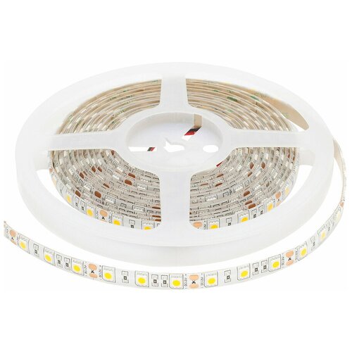  4042   SMD 5050 (000011) 3000 72  12  IP65 5  