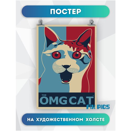 594    OMG cat   4060 