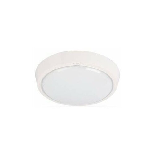  1570 LEEK  . . 20W(1800lm) 6000K  d310x52 IP20 LE LED BK RL 20W 6K LE061200-160 (. 613056)