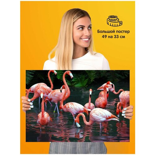  339   Flamingo 