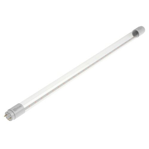 ������ 390� ����� ������������ IN HOME LED-T8-FITO, 10 ��, 230 �, G13, 600 ��
