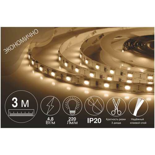  746  .  LED . 2 . 12, 4.8 /, SMD 3528, 60 /, IP20, 220 /,  