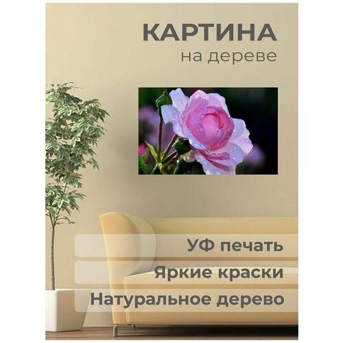 ������ 1001� ����������� ������� �� ������ 