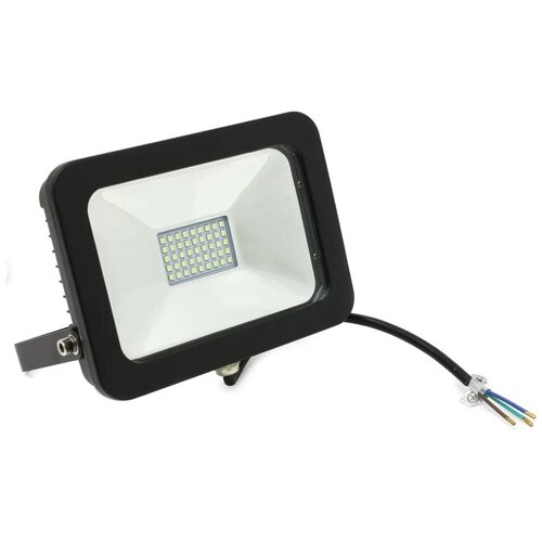  499  (LED)  FL SMD Smartbuy-30W/6500K/IP65 (SBL-FLSMD-30-65K)/40