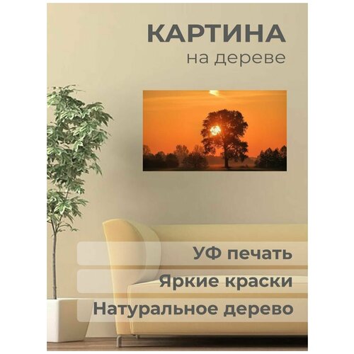 ������ 1001� ����������� ������� �� ������ 