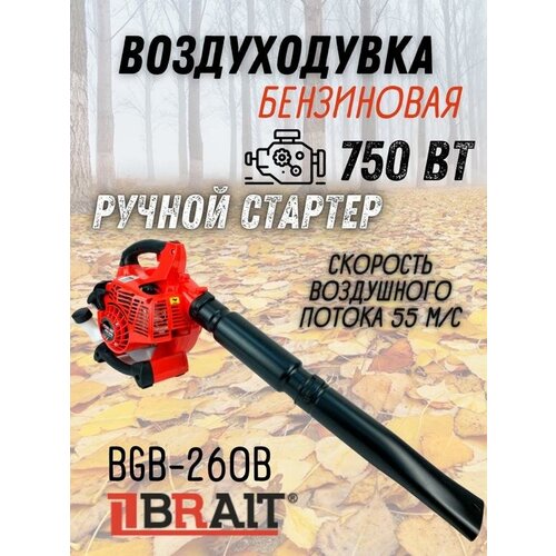  10390   BGB-260B