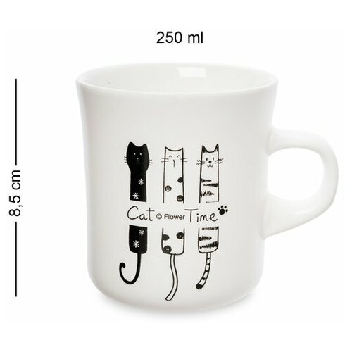  907  MUG-254/2 113-109107