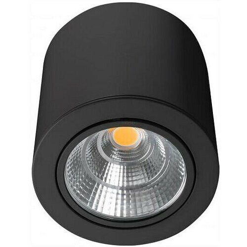  6925   Arlight SP-FOCUS-R140-30W Day4000 (BK, 24 deg, 230V) 029537