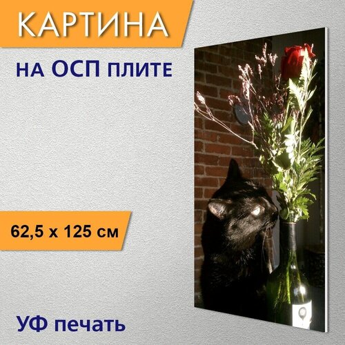 ������ 2960� ������������ ������� 