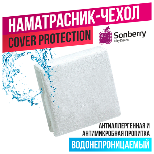  3990         Sonberry Cover Protection 120200 -   33 