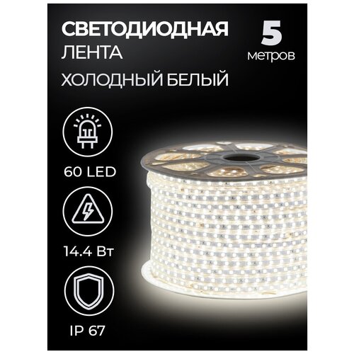  1345   SMD 5050, 60 LED, 220 , 14.4 , IP67,   (6500 )