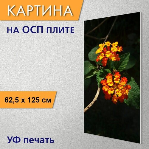 ������ 2950� ������������ ������� 