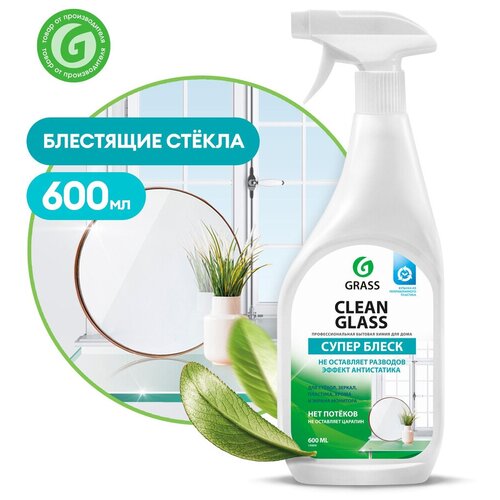  251 Grass Clean Glass.    , , , ,   . 600 .