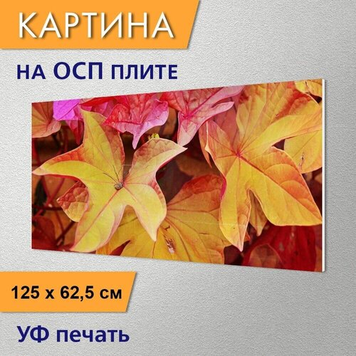 ������ 2970� �������������� ������� 