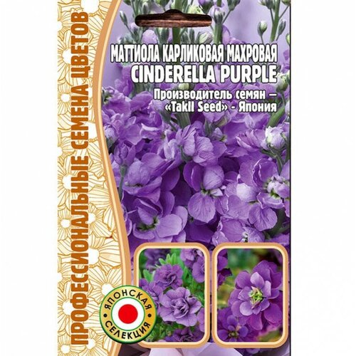 199     Cinderella purple (5 )