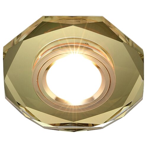  289    III 8020 GOLD Ambrella Light