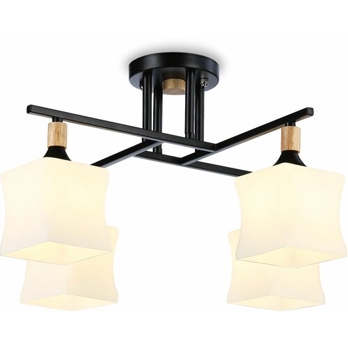  6346    Ambrella Light Modern TR9497