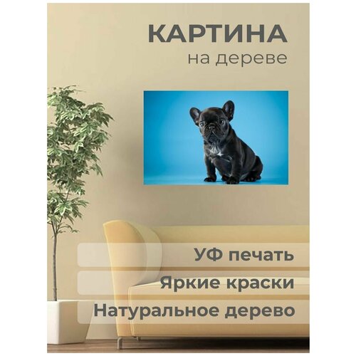 ������ 1001� ����������� ������� �� ������ 