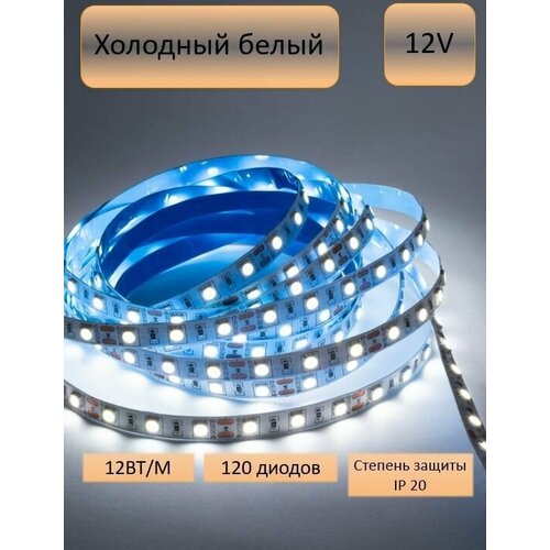  675   5, 12, IP20, 120 LED/m 2835 120   LED CW