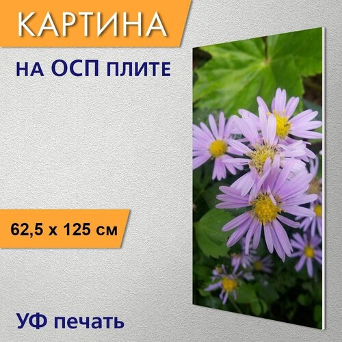 ������ 2950� ������������ ������� 