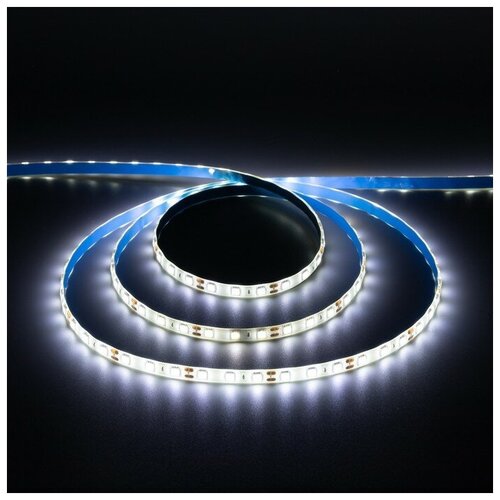  1273   Ecola PRO, 12, SMD5050, 5 , IP65, 14.4/, 60 LED/, 4200