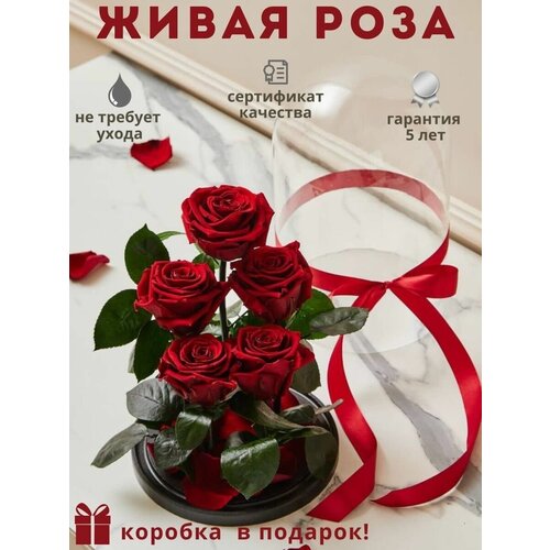 ������ 11283� ������ ����� ���� � ����� �����������������