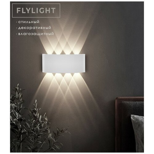  4979 ,   LED Flylight GQ8   - 8 ,  ,   