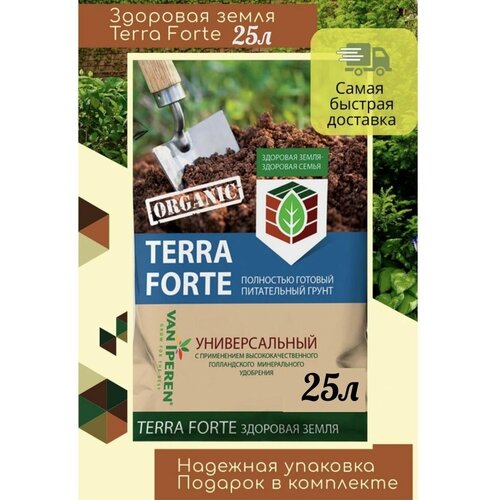  600   ,  Terra Forte,  , 25