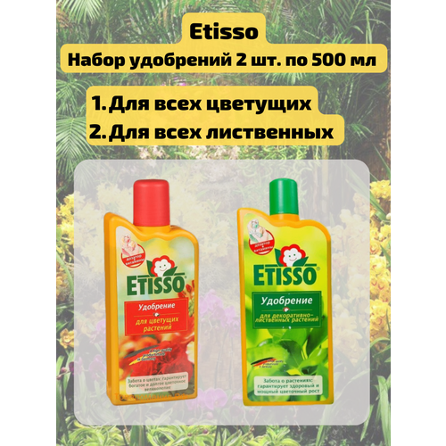  1700 .     500     - 500 . Etisso