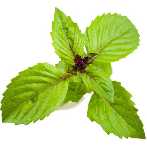 ������ 2690� Click And Grow �������� ���������� Click And Grow Cinnamon Basil Plant Pods 3 ��. ��� ������ ���� Click And Grow �������� ������ �������
