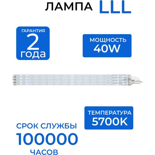  1099  (LED)   LLL FL-P-10W-02 5700K /      /     /