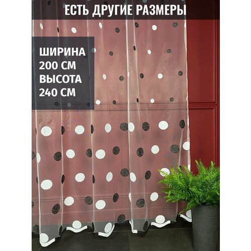 ������ 1997� ���� �������, ����������, ������� ������, ������ 200x240 ��