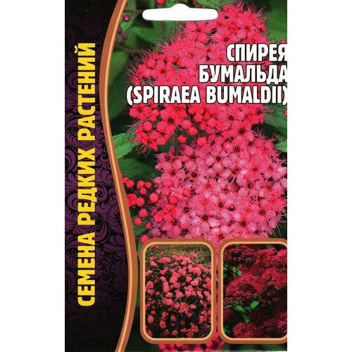  195   / Spiraea bumaldii