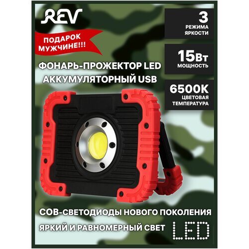  2494    15W COB + , 3000, 1100, IP65, REV RItter,