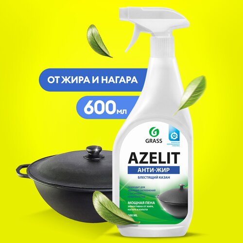  293  GraSS Azelit -   600