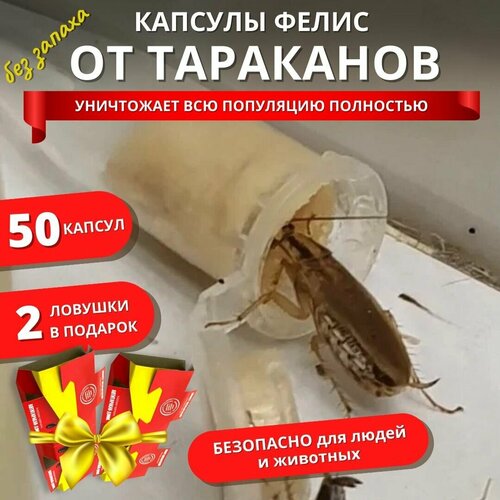 ������ 1340� ������� ����� �� ��������� � ��������, ������� ������� �� ��������� (����� 50 ������, 2 �������)