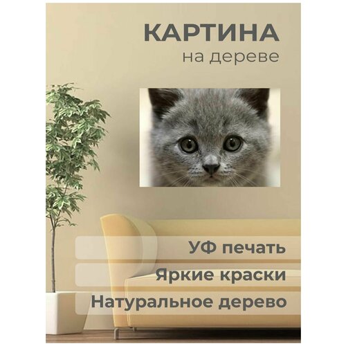 ������ 1001� ����������� ������� �� ������ 